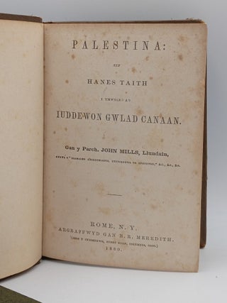 Palestina: Sef Hanes Taith i Ymweled ag Iuddewon Gwlad Canaan