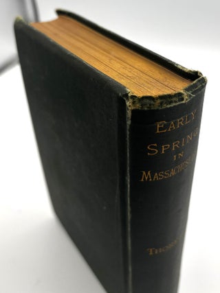 Early Spring in Massachusetts
