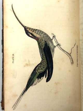 The Natural History of Humming-Birds (2 Volumes)