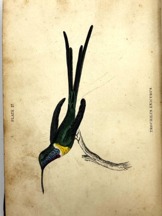 The Natural History of Humming-Birds (2 Volumes)