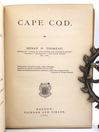 Cape Cod