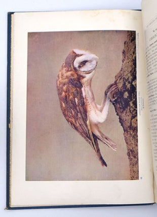The Birds of Ohio: A Complete, Scientific and Popular Description of the 320 Species of Birds Found in the State.