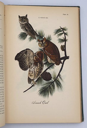 Report on the Birds of Pennsylvania: With Special Reference to the Food-Habits, Based on Over Three Thousand Stomach Examinations.