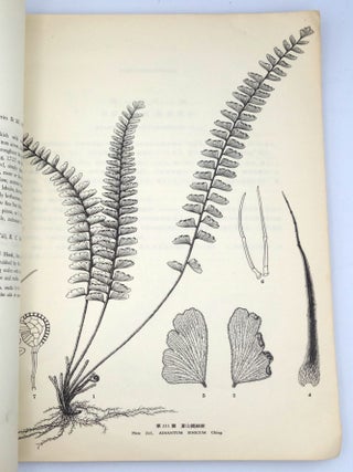Illustrations of Chinese Ferns (Icones Filicum Sinicarum. Fascicle 5, Plates 201–250)