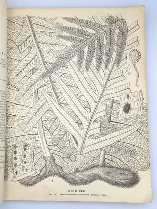 Illustrations of Chinese Ferns (Icones Filicum Sinicarum. Fascicle 5, Plates 201–250)
