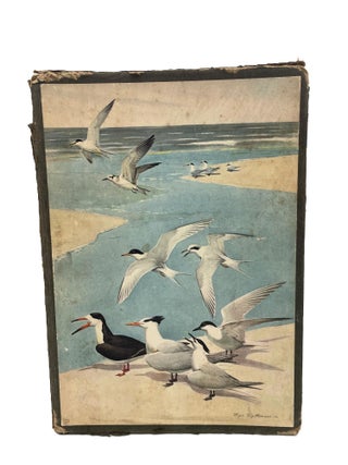 Item #58 South Carolina Bird Life. Alexander Sprunt Jr., E. Burnham Chamberlain